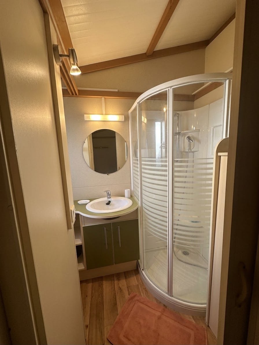 Salle de bain avec douche et vasque